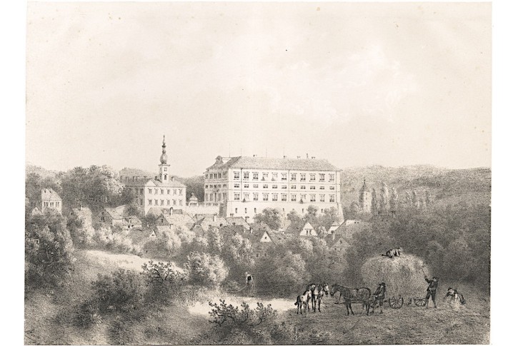 Zákupy, Haun, litografie, 1860