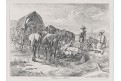 Klein J.A., Kůň s vozem, lept , 1827