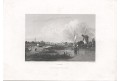 Haag, Poppel, oceloryt, 1850