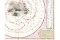 Homann J.B.: Motus Coelo Spirales, mědiryt 1720