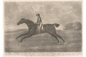 Kůň Lurcher by Dungannon, Mezzotinta, 1792