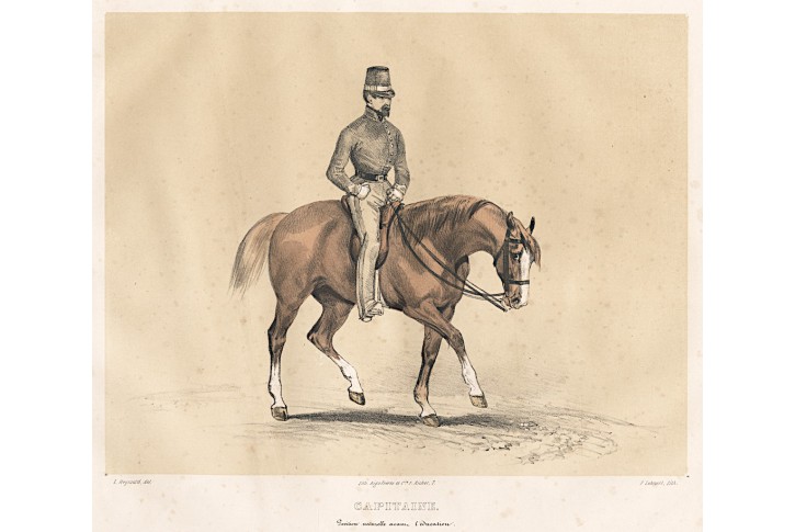 Kuň Capitaine, Baucher, kolor. litografie, 1842