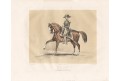 Kuň Capitaine II., Baucher, kolor. litogr., 1842