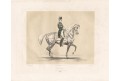 Kuň Buridan, Baucher, kolor. litogr., 1842