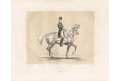 Kuň Buridan, Baucher, kolor. litogr., 1842