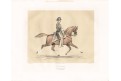 Kuň Capitaine III., Baucher, kolor. litogr., 1842