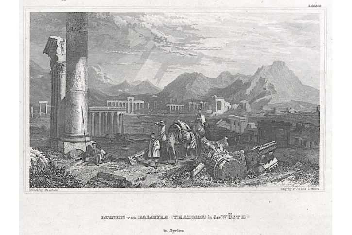 Palmýra, Meyer, oceloryt, 1850