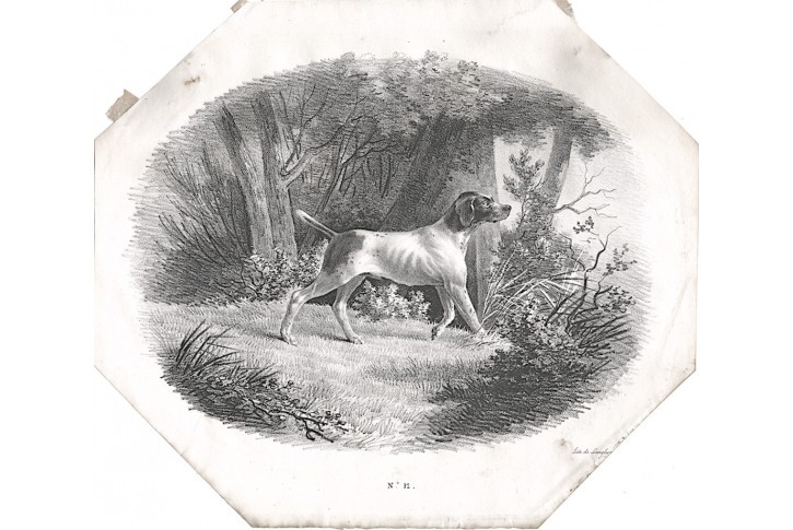 Pes, litografie, 1830