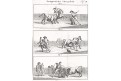 Býčí zápasy, mědiryt, 1808