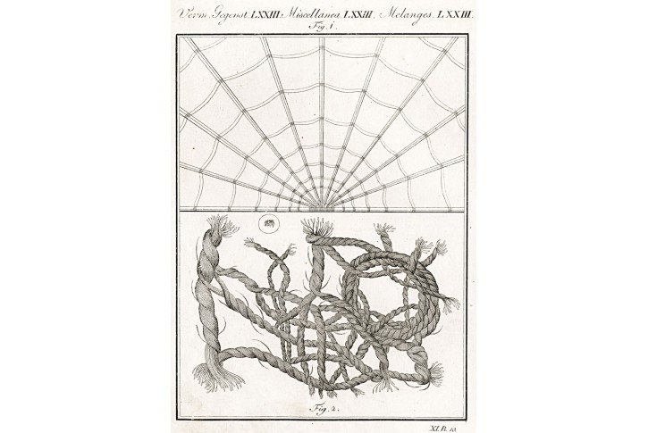Mikroskopie II., Bertuch, kolor. mědiryt , (1800)
