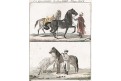 Koňe, Bertuch, mědiryt , 1807