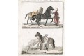 Koňe, Bertuch, mědiryt , 1807