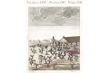 Košenila Opuncie, Bertuch, mědiryt ,1807