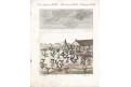 Košenila Opuncie, Bertuch, mědiryt ,1807