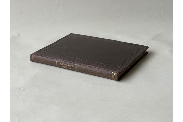 Vrchlický J.: Sonety samotáře, Pha., 1896, 1. vyd.