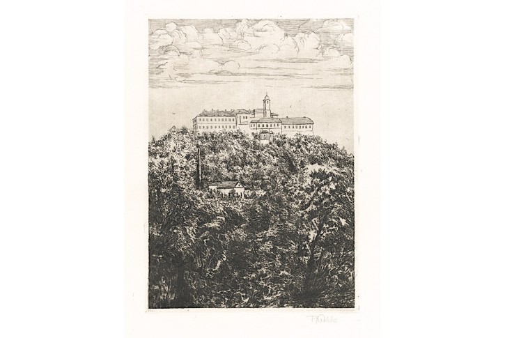 Brno cyklus 14.leptů, Brno , 1928