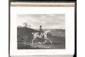  Lawrwence : Sportsman's ...Horse  Dog, Ldn, 1820