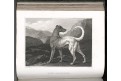  Lawrwence : Sportsman's ...Horse  Dog, Ldn, 1820