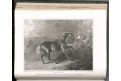  Lawrwence : Sportsman's ...Horse  Dog, Ldn, 1820