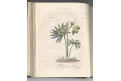 Endler - Scholz : Naturfreund IV. Breslau, 1812