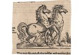 Kreatury sroslí koně, dřevořez, 1565