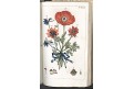 Wilhelm G.T.: Pflanzenreichs Bd. 3, Augs., 1811