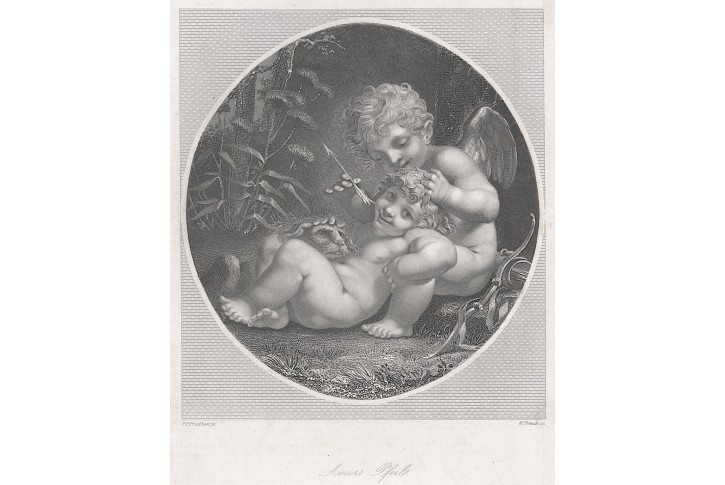 Amorův šíp, Payne, oceloryt, 1860