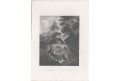 Jeleni, Payne, kolor. oceloryt, 1860