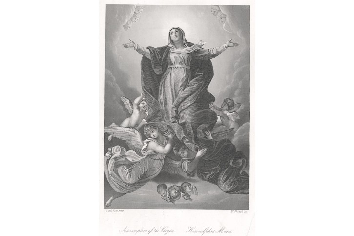 Madonna nanebevzetí, Payne, oceloryt, (1860)