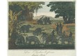 Sloni lov, kolor. mědiryt, (1800)