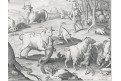 Býci napadeni liškami, Collaert, mědiryt, 1595
