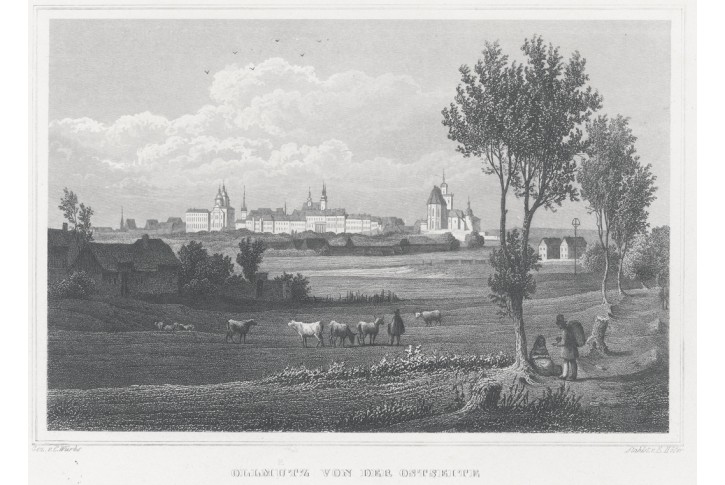 Olomouc od východu, Lange, kolor. oceloryt, 1848