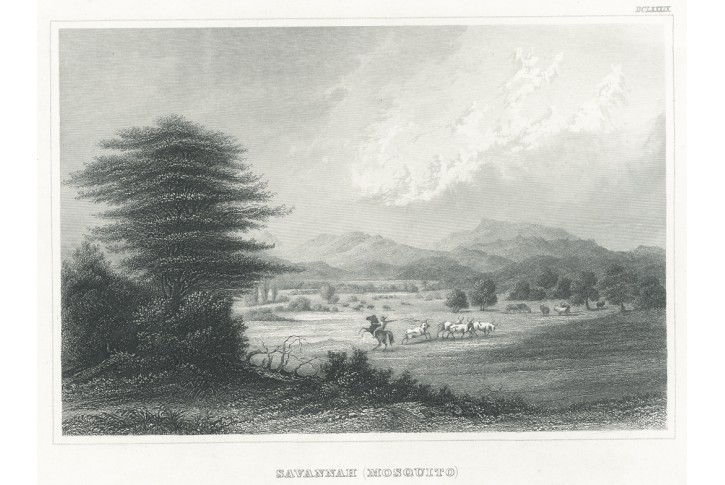 Mosquito Coast Nicaragua, Meyer, oceloryt, 1850