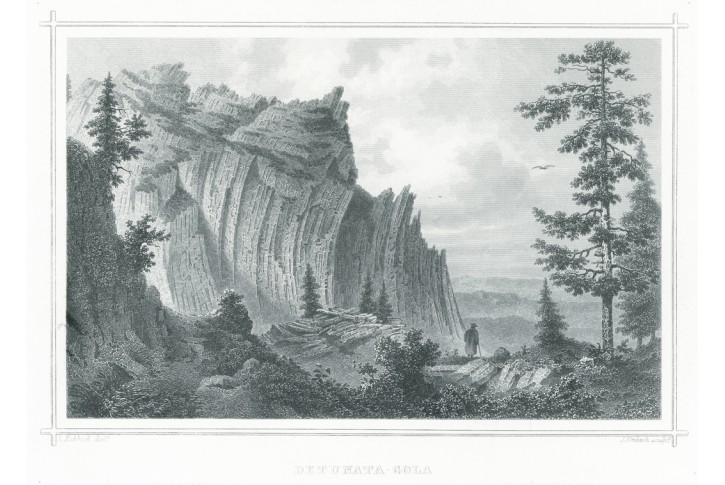 Detunata Gola,  Rohbock, oceloryt 1857