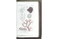 Buffon G.: Hist. Naturelle, Tome 3., Paris, 1801