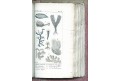 Buffon G.: Hist. Naturelle, Tome 3., Paris, 1801