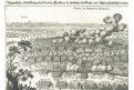 Legnica-Liegnitz bitva,  Merian, mědiryt, 1650