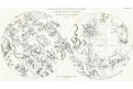 Astrologie  hvězdná mapa, Tardieu, mědiryt , 1822