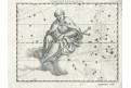 Štír - Bartoloměj souhvězdí, mědiryt, 1627