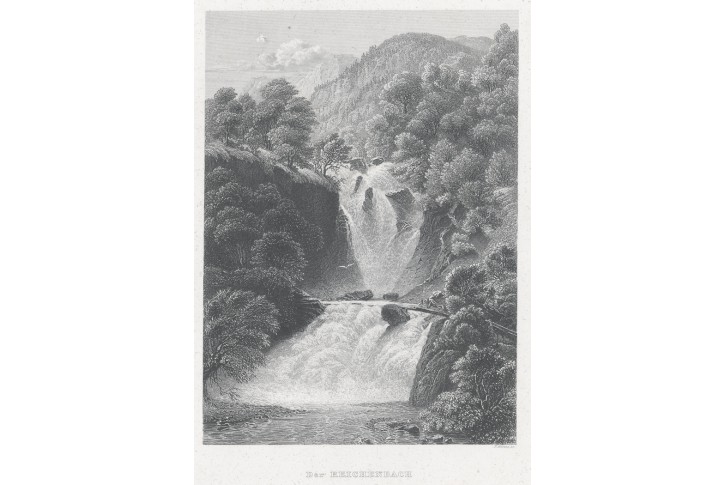 Reichenbach, Meyer, oceloryt, 1850