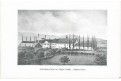 Stamm F.: Land- und Forstwithschaft Böhmen, 1856