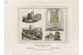 Rakovnický kraj, Klutschak, chromolitografie 1840