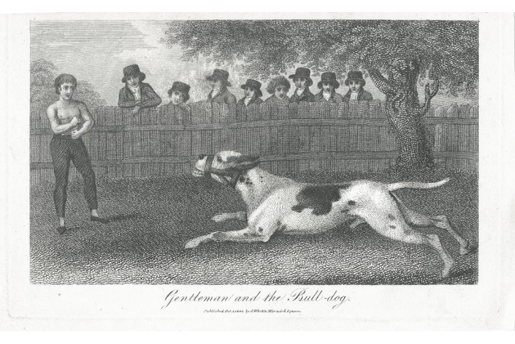 Soboj mezi psem a člověkem, mědiryt, 1807
