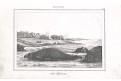 Austrálie tuleni, Rienzi, oceloryt,1836