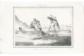 Indiani, Lebas, oceloryt, (1840