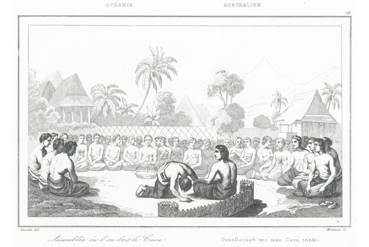 Kava droga obřad Fidži, oceloryt,1836