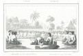 Kava droga obřad Fidži, oceloryt,1836