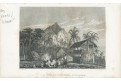 Pitcairnovy ostrovy , oceloryt, (1840)
