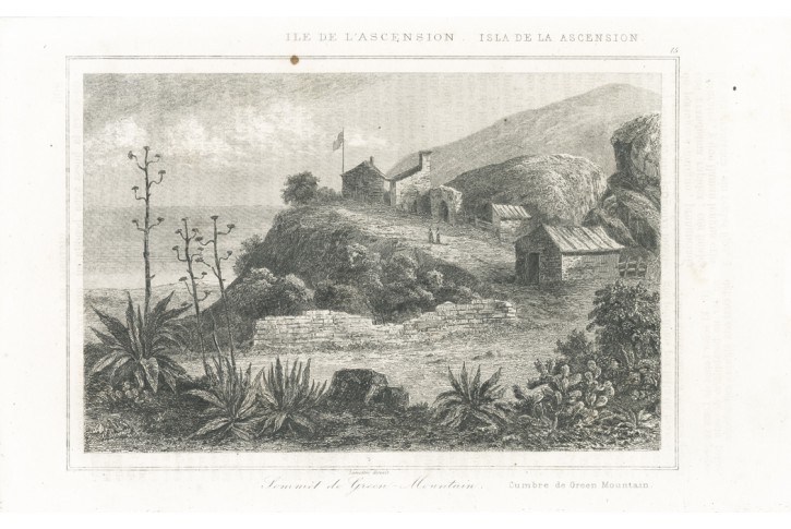 Ascension,  oceloryt, (1840)