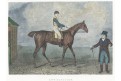 Kuň Anticipation, Wheble, mědiryt, 1810